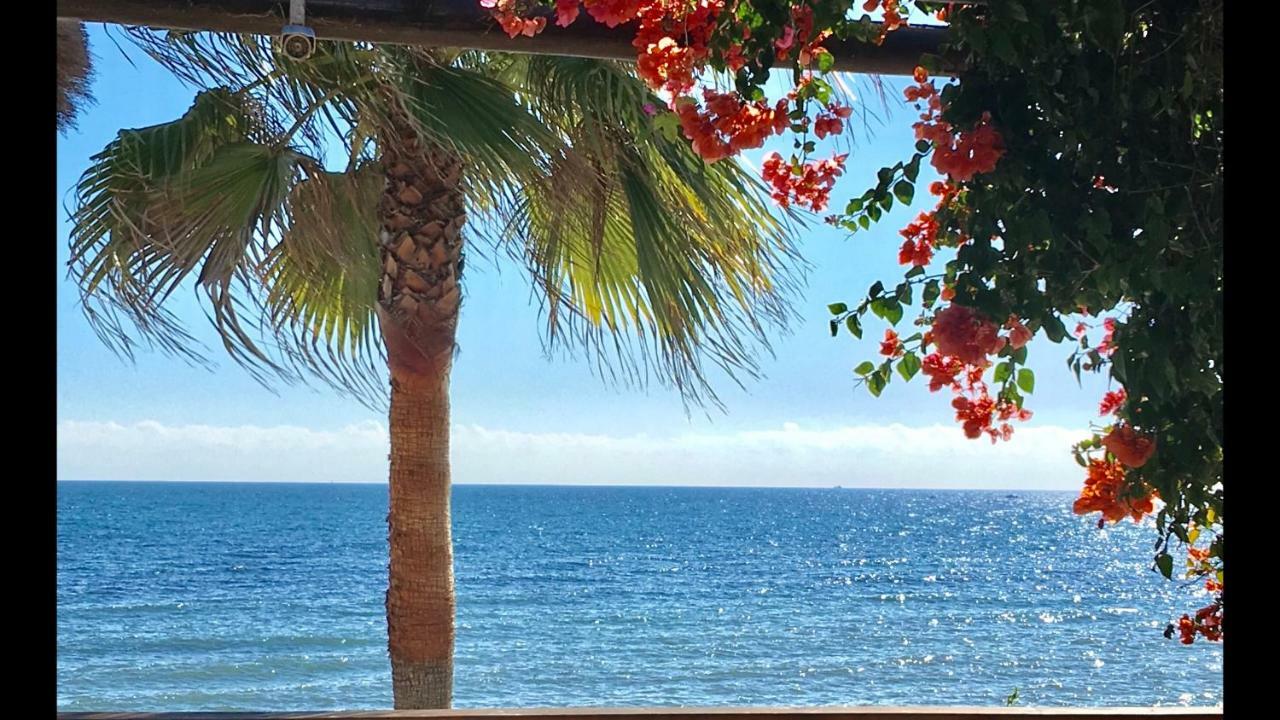 Mi Capricho 9C Beachfront- Apartment With Sea View - Costa Del Sol ラ・カラ・デ・ミハス エクステリア 写真
